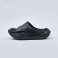 Dynafish Slides
